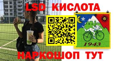 шишки Абинск