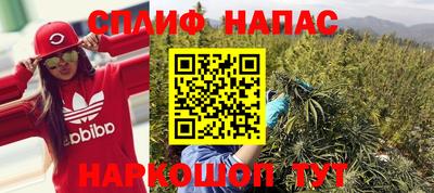 шишки Абинск