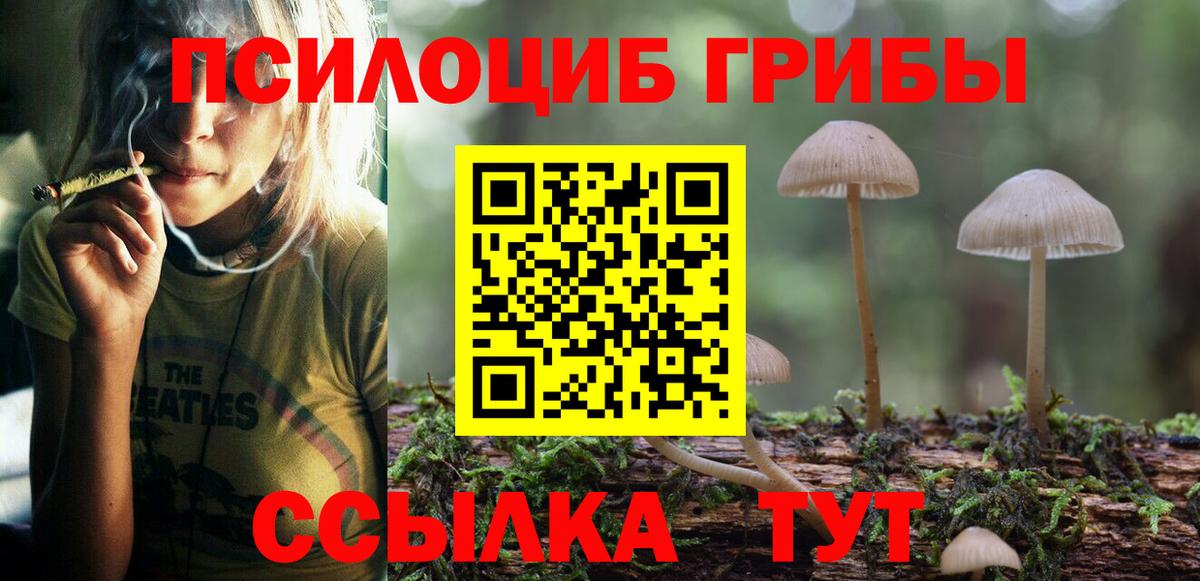 Алушта  Галлюциногенные грибы Psilocybe  Вход с VPN 